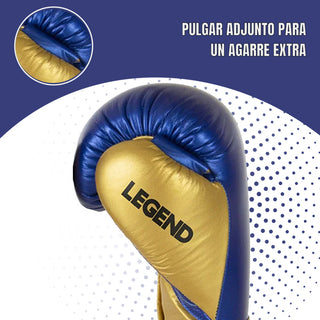 GUANTES DE BOXEO REF. LEGEND PLATINUM