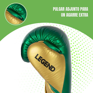 GUANTES DE BOXEO REF. LEGEND PLATINUM