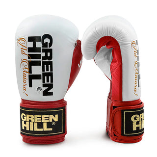GUANTES DE BOXEO REF. LEGEND