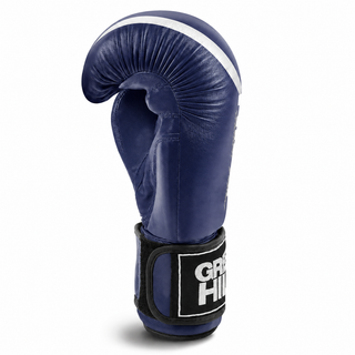 GUANTES DE BOXEO REF. PANTHER