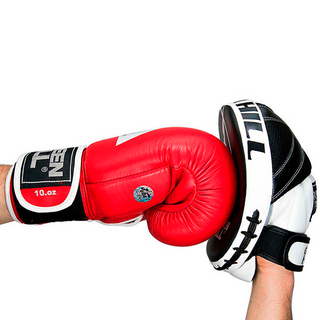 FOCUS MITT CONDOR