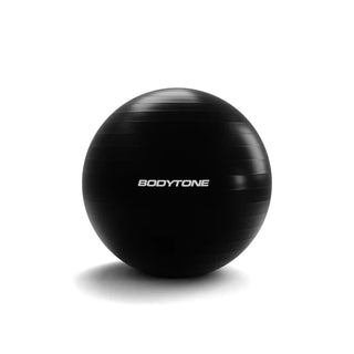 PELOTAS DE EJERCICIO 1100GR