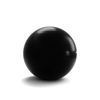 PELOTAS DE EJERCICIO 1100GR