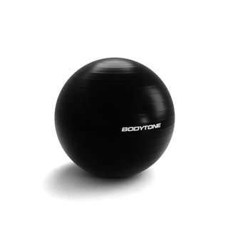 PELOTAS DE EJERCICIO 1100GR