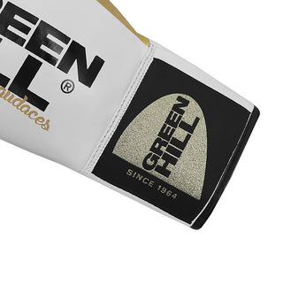 GUANTES DE BOXEO REF. ARES