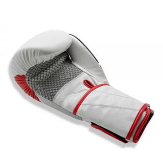 GUANTES DE BOXEO REF. F120