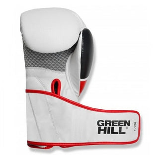 GUANTES DE BOXEO REF. F120