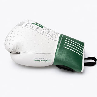 GUANTES DE BOXEO REF. OUTRAGE