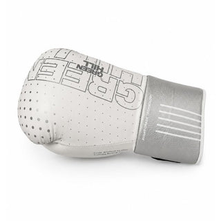 GUANTES DE BOXEO REF. OUTRAGE