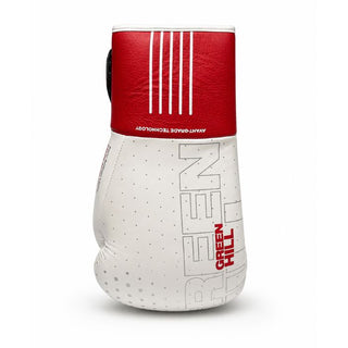 GUANTES DE BOXEO REF. OUTRAGE