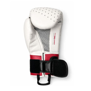 GUANTES DE BOXEO REF. OUTRAGE