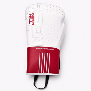 GUANTES DE BOXEO REF. OUTRAGE