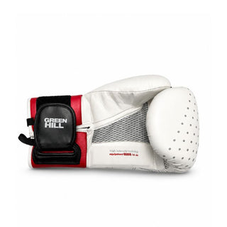 GUANTES DE BOXEO REF. OUTRAGE
