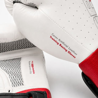 GUANTES DE BOXEO REF. OUTRAGE
