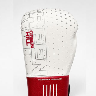 GUANTES DE BOXEO REF. OUTRAGE