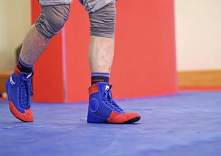 ZAPATOS DE SAMBO APROBADOS FIAS